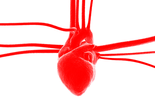 Properties of Cardiac Cells(Heart)