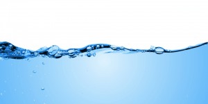 Why is Water so Important to the Human Body?