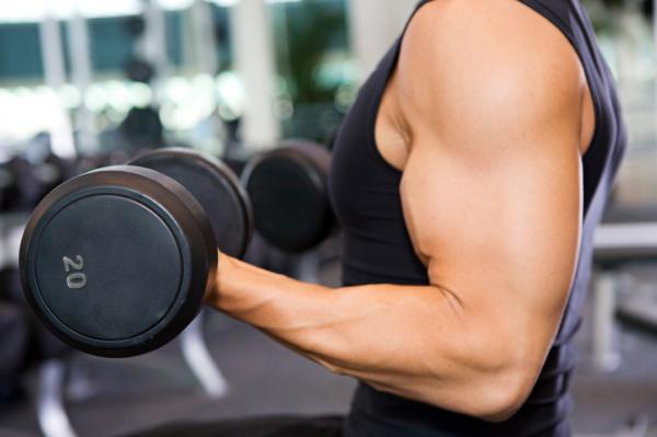 Effective Weight Training