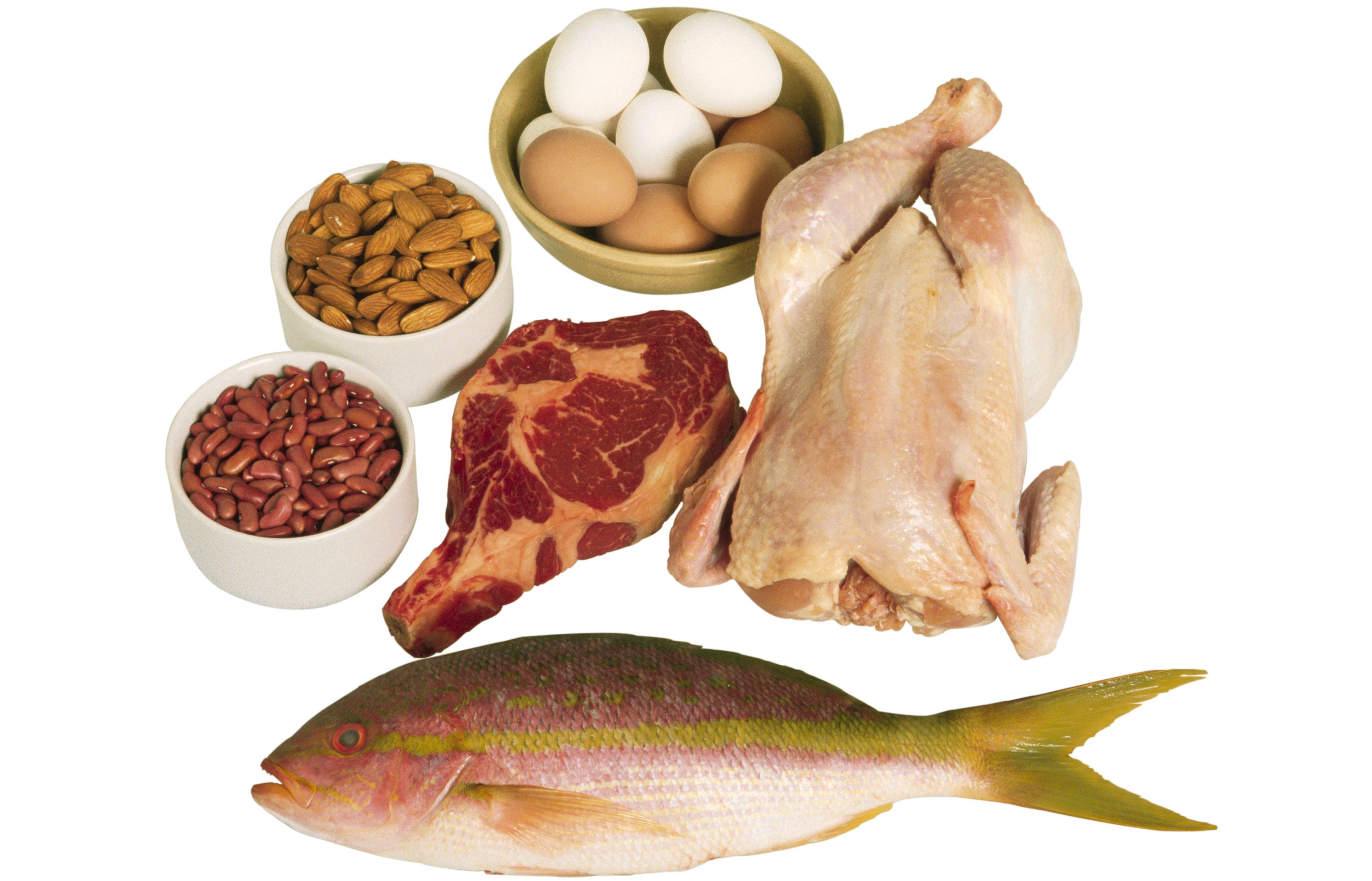 Protein Foods
