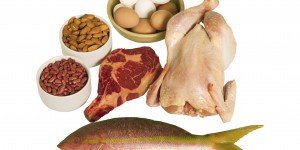 The Best Protein Foods for Building Muscle