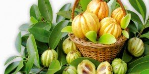 Garcinia Cambogia, a blessing or a disguised side affect rich fruit
