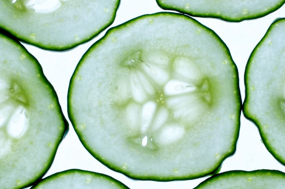 Cucumber