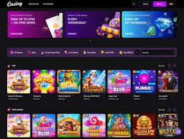 Everything You Need to Know About Casiny Login 2 Everything You Need to Know About Casiny Login 2
