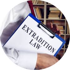 Hiring an International Lawyer A Comprehensive Guide 370784000